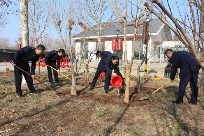 2024-3-12鄴城收費(fèi)站：站區(qū)綠植重規(guī)劃 春季移植美環(huán)境，作者：張晶玉