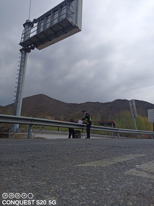 收集水平救助二寶