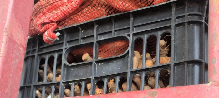 3ac988e808430260f7a74cf3c04acc8