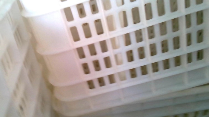 fe8fafd022e5c70d8d1bda3770f1e2e