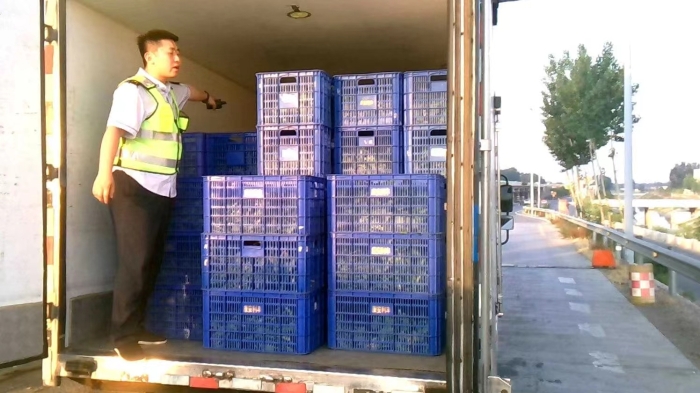 efde87306b096872f721c5dbf74536e