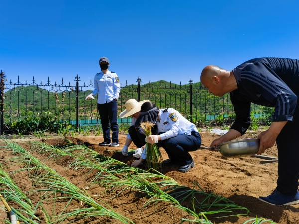 19abe377932d8b4604e90e09dd0585a