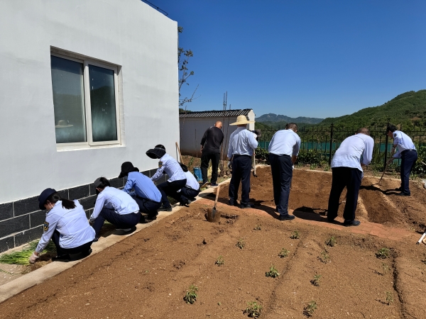 884d7db015fa4241193fd7bb7f0aaeb