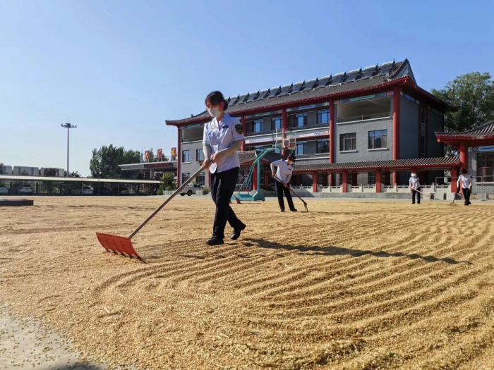 6785df749b55cf95ad2b0c30d9e5caa