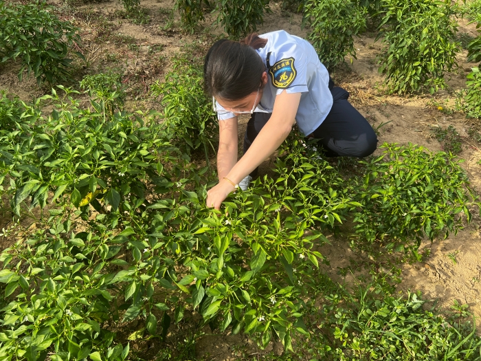 6db03eb953a7ec12e62940368d73408