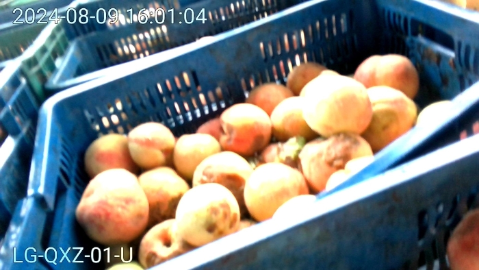 b26d395c294885b343ad39c6e3d9c191(20240810-231341)