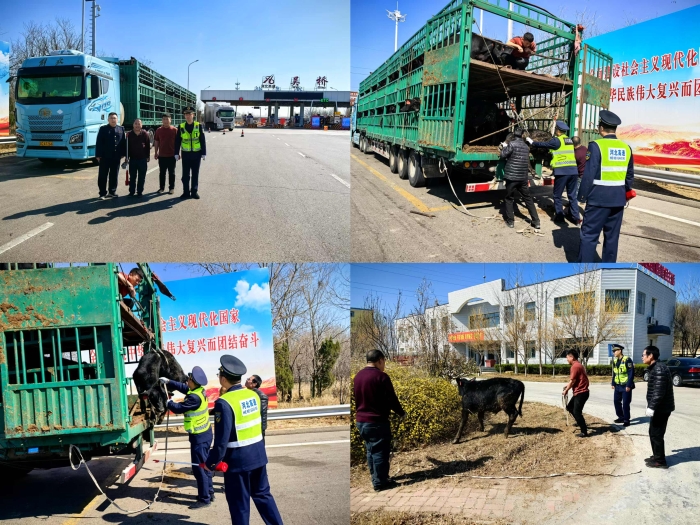 微信圖片_20250320090600