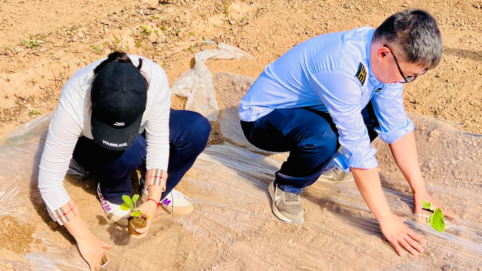 C3AB012F99BB35EF99CCD2E0A14CB7D4