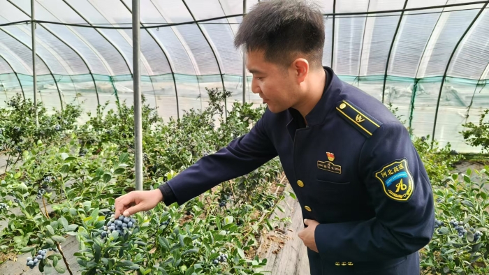 C:\Users\Lenovo\Desktop\4bf5f69d4834588e78585324b47b90c