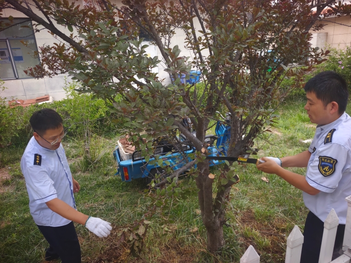 微信圖片_2025-08-06_114131_968