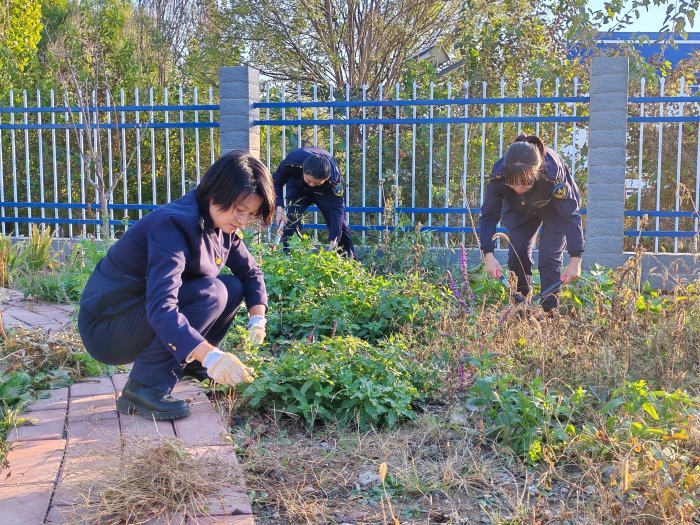 mmexport1761700082948