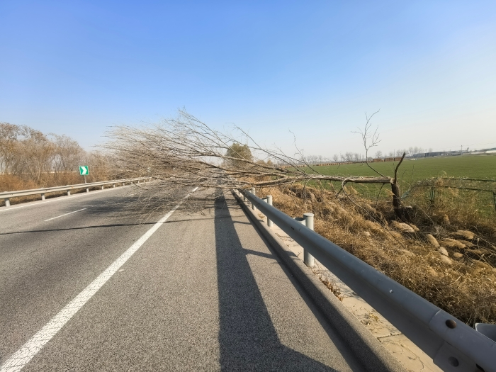 微信圖片_20251208094455_1546_179