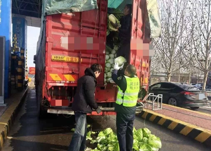 綠通核驗(yàn)遇菜散落 收費(fèi)員援手暖人心