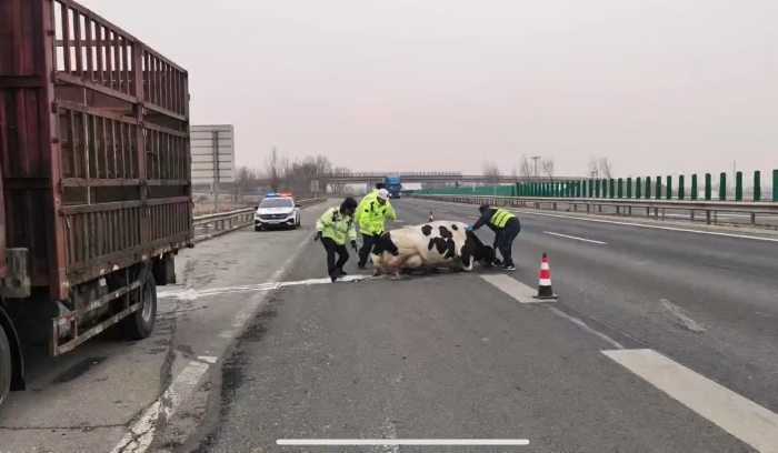 微信圖片_20260119151709