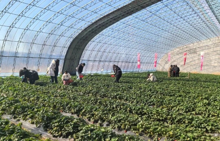 微信圖片_2026-03-12_100906_484