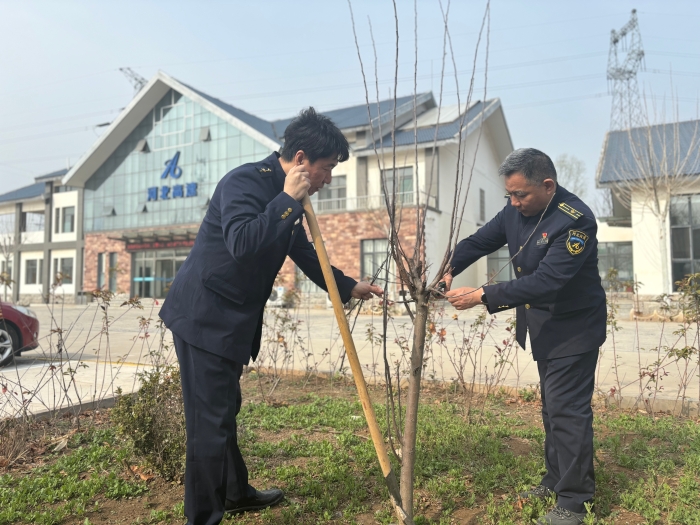 河沙鎮(zhèn)站修剪果樹(shù)